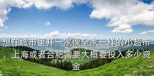 合肥開小超市要花多少錢,開個便利店需要多少錢