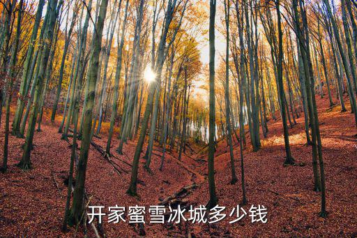 唐山開蜜雪冰城需要多少錢,開家蜜雪冰城多少錢