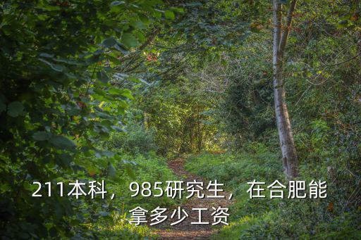 計算機專業在合肥市工資多少,在合肥能拿多少工資