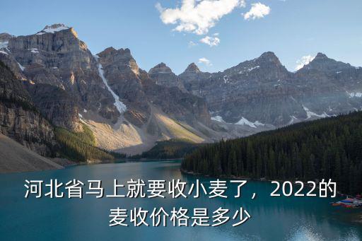 河北省馬上就要收小麥了，2022的麥收價格是多少