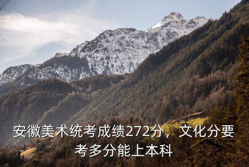 安徽考多少分能上本科,安徽美術統考成績272分