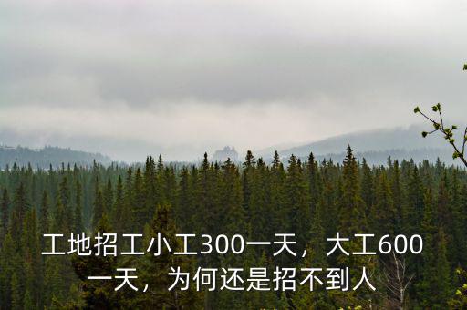 唐山工地小工多少錢一天,工地上的小工一般多少錢一天