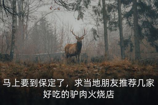 保定王華驢肉火燒多少年店了,河北保定驢肉火燒
