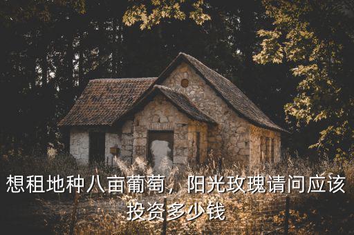 想租地種八畝葡萄，陽光玫瑰請問應該投資多少錢