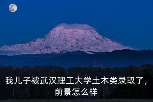 我兒子被武漢理工大學土木類錄取了，前景怎么樣
