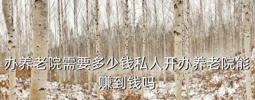 辦養老院需要多少錢私人開辦養老院能賺到錢嗎