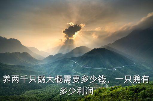 鵝石家莊鵝蛋多少錢一斤,一只鵝有多少利潤