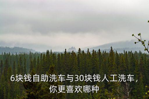 6塊錢自助洗車與30塊錢人工洗車，你更喜歡哪種