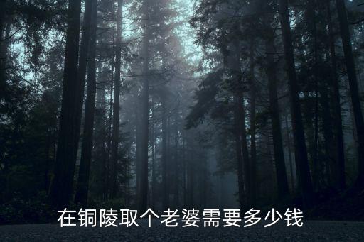 在銅陵辦個婚禮預算多少,女友安徽銅陵