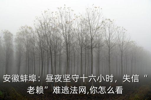 蚌埠老賴榜有多少,失信老賴難逃法網