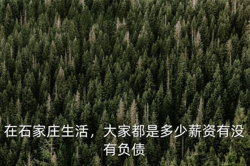 在石家莊生活，大家都是多少薪資有沒有負債