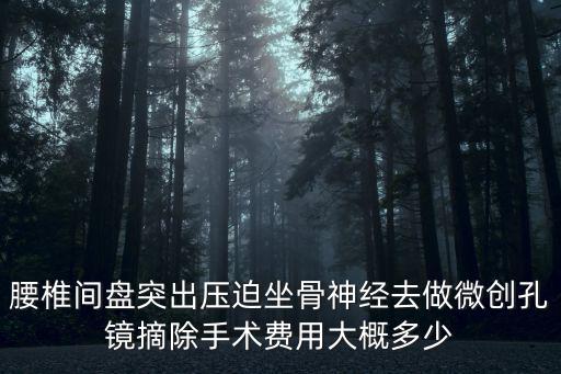 石家莊市腰椎間孔鏡手術(shù)多少錢,做了腰椎間孔鏡微創(chuàng)手術(shù)