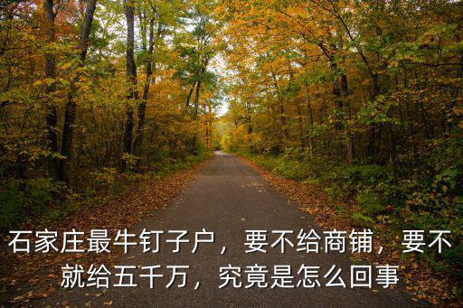 石家莊最牛釘子戶拆除補償多少錢,石家莊最牛釘子戶