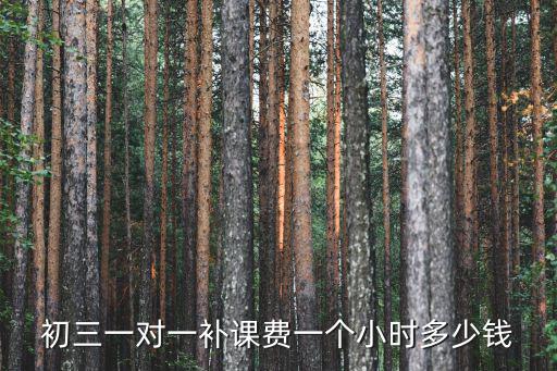初三一對(duì)一補(bǔ)課費(fèi)一個(gè)小時(shí)多少錢