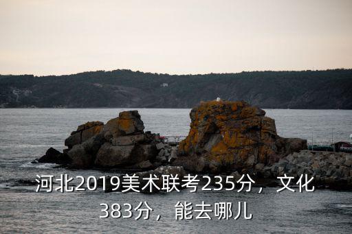 河北省2019美術聯考第一名多少分,河北美術聯考249分