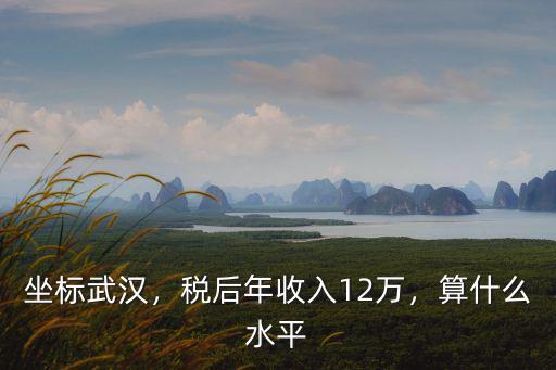 坐標武漢，稅后年收入12萬，算什么水平
