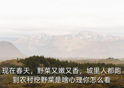 現(xiàn)在春天，野菜又嫩又香，城里人都跑到農(nóng)村挖野菜是啥心理你怎么看