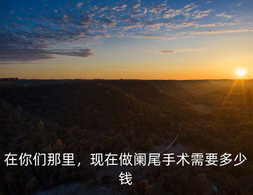 保定闌尾手術(shù)要多少錢,現(xiàn)在做闌尾手術(shù)需要多少錢