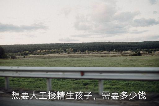 想要人工授精生孩子，需要多少錢
