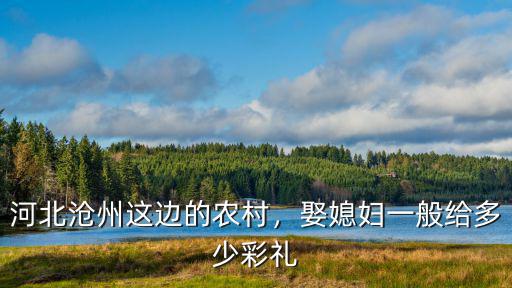 河北滄州這邊的農村，娶媳婦一般給多少彩禮