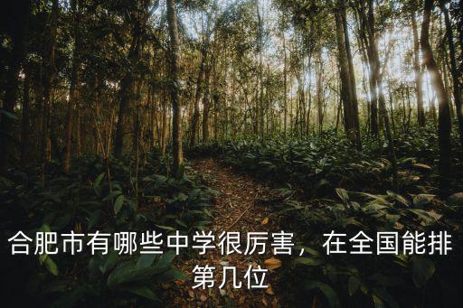 合肥一中附近有多少中學,合肥有哪些初中比較好