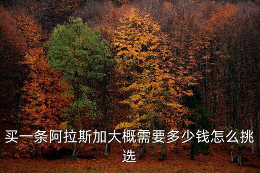 阿拉斯加石家莊狗市多少錢,石家莊哪里有狗市