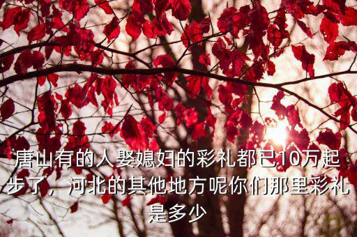 河北省娶媳婦多少,娶媳婦一般給多少彩禮
