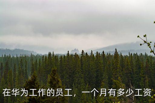 華為廊坊工廠有多少員工,一個(gè)月有多少工資