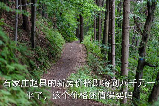 石家莊趙縣小姐多少錢,她是石家莊趙縣人嗎