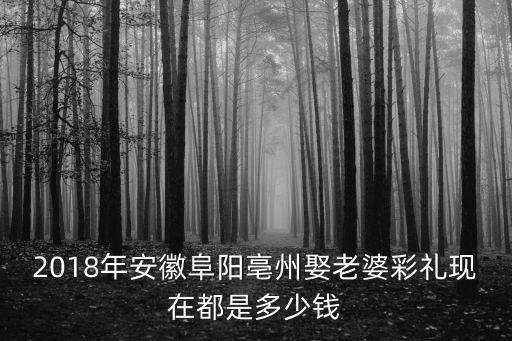 2018年安徽阜陽亳州娶老婆彩禮現在都是多少錢