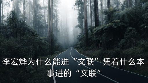 湖北省文聯怎么進,憑著什么本事進的文聯