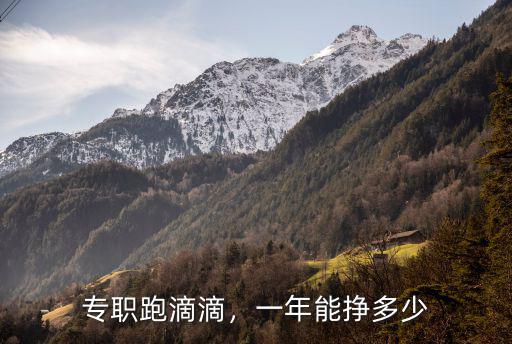 專職跑滴滴，一年能掙多少
