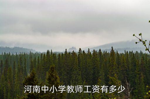 河南目前教師工資多少,河南中小學教師工資有多少