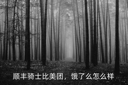 邢臺(tái)順豐騎士多少人,順豐騎士怎么樣