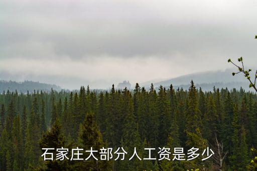 石家莊東北水廠工資多少,石家莊大部分人工資是多少