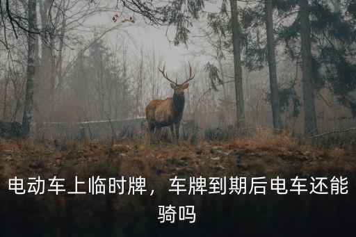 鄂州電動車上臨時牌三年后怎么辦,電動車上臨時牌