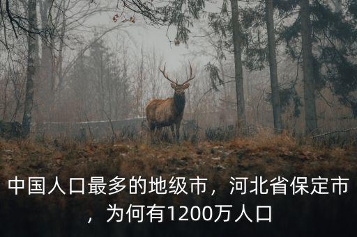 保定市區(qū)有多少萬人口,為何有1200萬人口