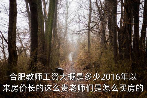 一年多少錢買得起合肥的房,合肥教師工資大概是多少