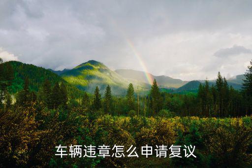 南陽交通違章去哪里復議,汽車違章應該去哪里申請復議