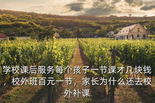 學(xué)校課后服務(wù)每個(gè)孩子一節(jié)課才幾塊錢，校外班百元一節(jié)，家長為什么還去校外補(bǔ)課
