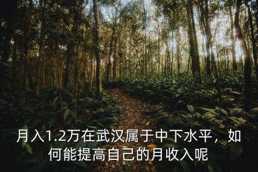 武漢的代駕工資怎么樣,請問武漢代駕行情怎么樣