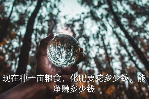 現在種一畝糧食，化肥要花多少錢，能凈賺多少錢