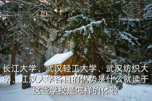 長江大學、武漢輕工大學、武漢紡織大學、江漢大學各自的優勢是什么就讀于這些學校是怎樣的體驗