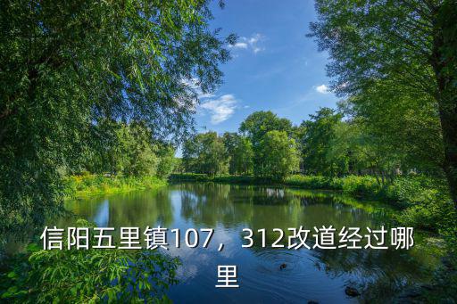 信陽107改道路線朱堂走哪里,312改道經(jīng)過哪里