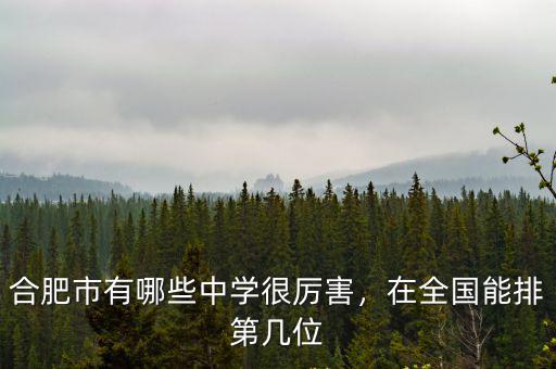 合肥市有哪些中學很厲害，在全國能排第幾位