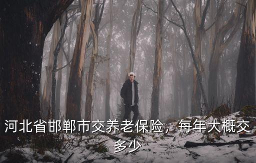 邯鄲市社保工資的多少交,每年大概交多少