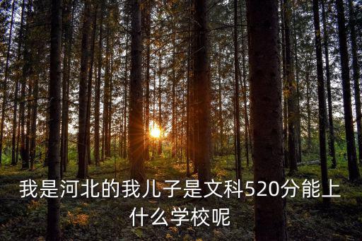 我是河北的我兒子是文科520分能上什么學(xué)校呢