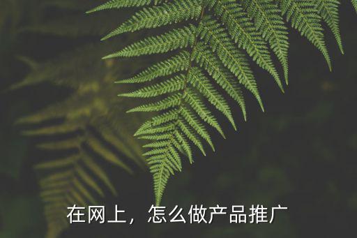 隨州網(wǎng)上做推廣怎么做,怎么做產(chǎn)品推廣