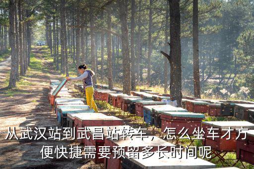凌晨武漢怎么到武昌,怎么坐車才方便快捷