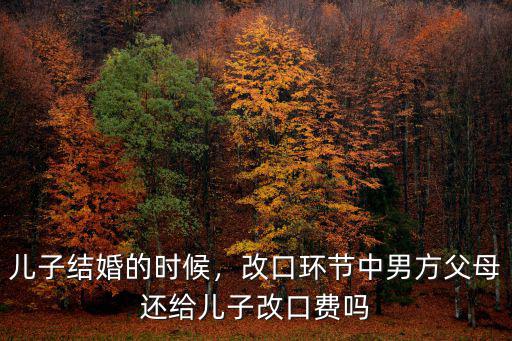兒子結婚的時候，改口環節中男方父母還給兒子改口費嗎